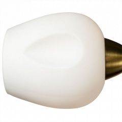 Потолочная люстра Arte Lamp Brighton A2706PL-5CK | фото 3